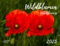 Preview: Wandkalender Blumen. Blüten 2025